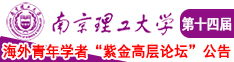 肏骚逼爽视频南京理工大学第十四届海外青年学者紫金论坛诚邀海内外英才！